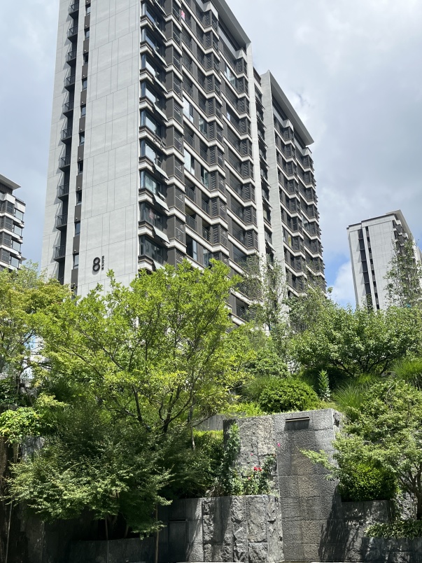 工抵房龙湖春江天玺新房现房小高层赠送11平耳朵户型落地窗