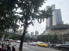 中海璟里 2室2厅 南