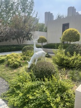 银丰玖玺城上和院(六期) 6室2厅 南 北