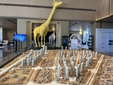 24年交房,楼龄新,刚需,看房方便