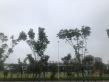 梦想滨江左岸实景图
