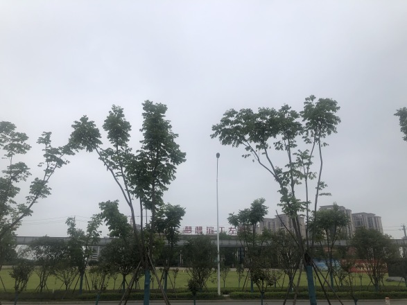 梦想滨江左岸实景图