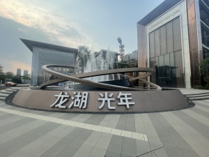 龙湖光年天璟4室2厅东南南
