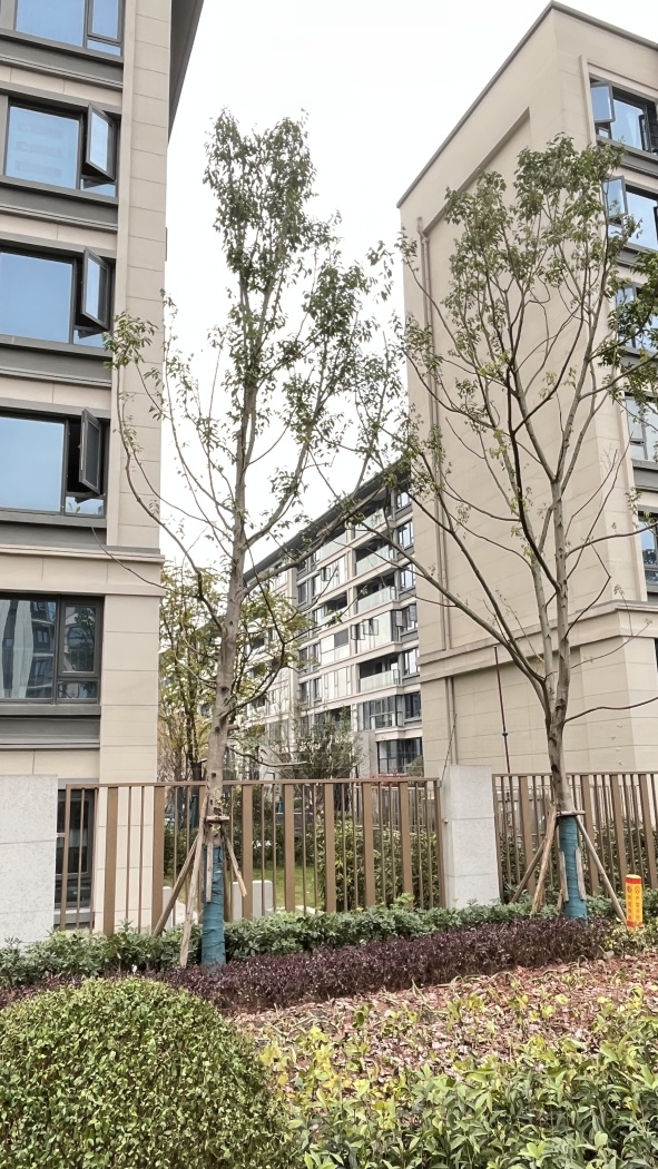 北辰·知山印澜图片相册,北辰·知山印澜户型图,样板间图,装修效果图,实景图-重庆房天下