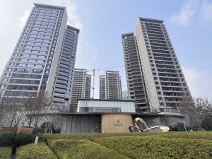 保利和颂3室2厅东