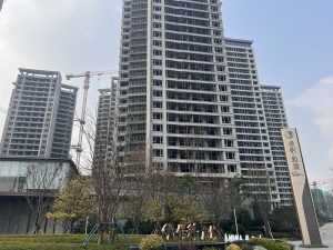 保利和颂4室2厅南北