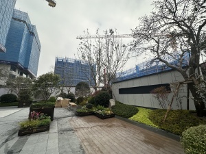 【建发房产丨华润置地 缦云】| 成都市天府新区云龙路1066号5栋1单元1层102号房屋及附着装修