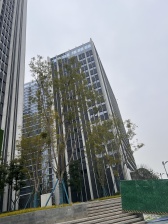 保利云上 4室2厅 东