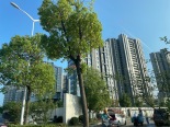 在建工地实景图
