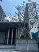 中绿园领秀金沙实景图