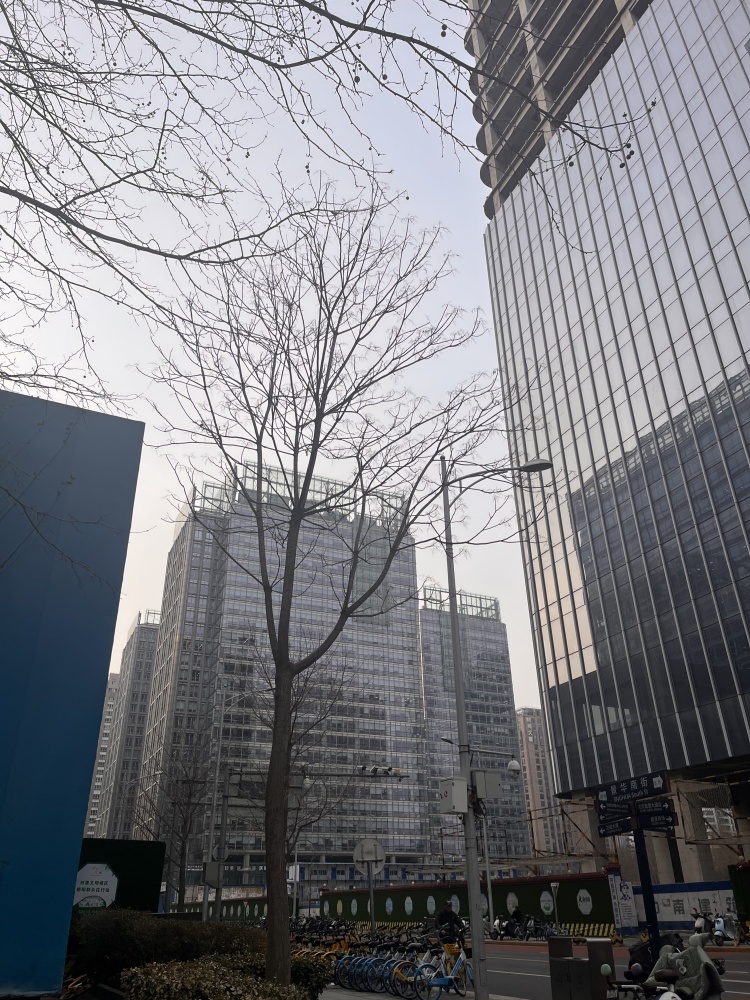 实景图