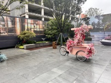房子买进还没住过,东边套凤凰楼层采光好