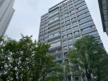 楼盘外观实景图