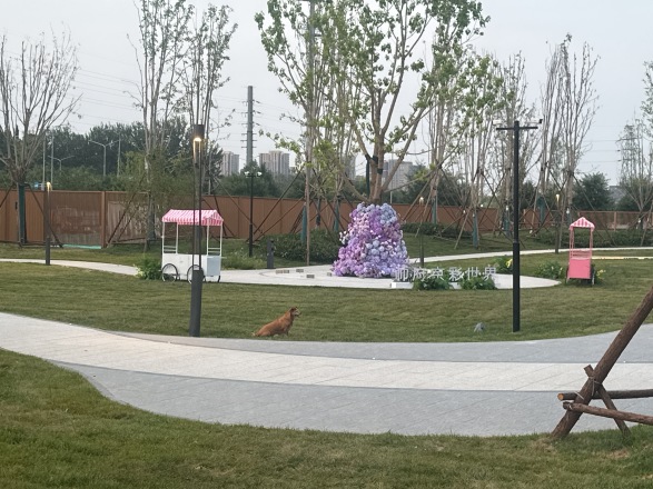 帅府·京彩世界实景图