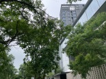 楼盘外观实景图