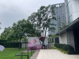 楼盘外观实景图