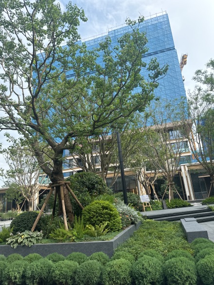 华润置地 青羊润府实景图