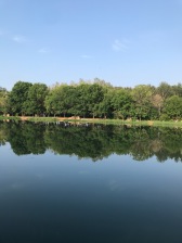 南北通 观湖景 视野开阔 产权清晰 公园旁