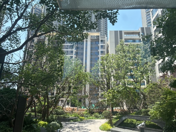 保利·锦上实景图