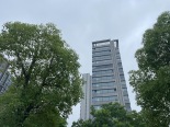 楼盘外观实景图