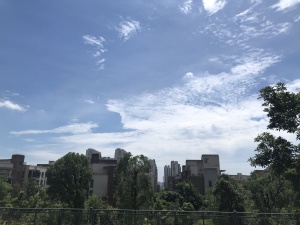 小区环境优美,可以让孩子每天多睡半小时南北互通户型