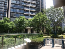 大岭山中海全新四房业主急售,位置安静舒适全新没住过