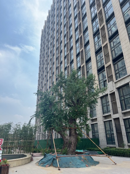 银河中心实景图