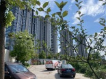 竣工楼栋实景图