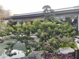 保利琅悦4室2厅南