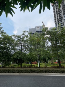 新规刚交楼全新未住长阳台四开间朝南保利品质