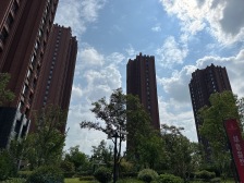 近地铁 中间楼层,现场实勘,电梯房,新上房源