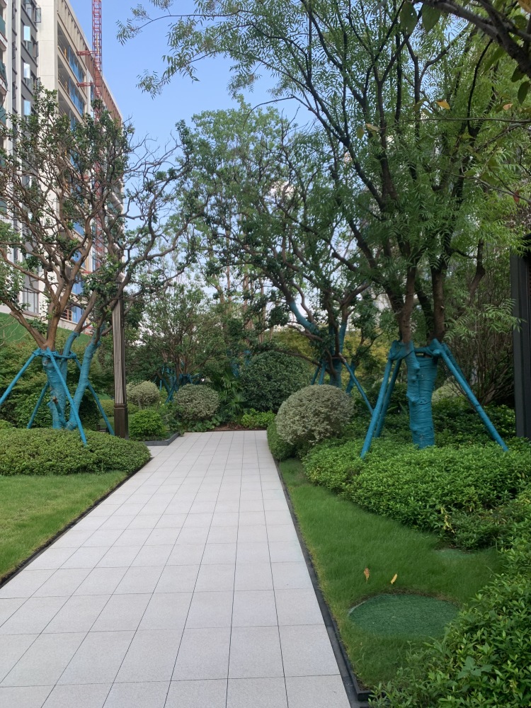 小区相关图