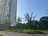 实景图竣工楼栋