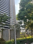 小区环境