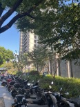 小区环境