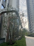 实景图小区环境