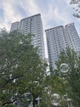 实景图竣工楼栋