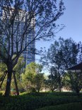 实景图小区环境