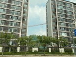 楼盘外观实景图