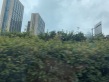 保利凤凰湾实景图