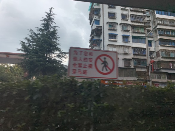 保利凤凰湾实景图