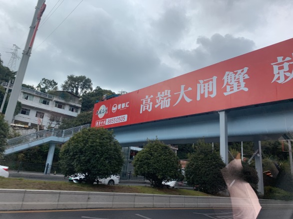 保利凤凰湾实景图