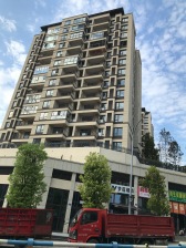 西附旁边纯洋房小区精装洋房带花园