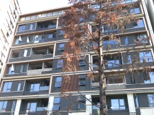 龙湖天街+24年次新小区+视野开阔+楼下轻轨