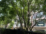 小区环境实景图