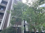 小区环境实景图