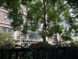 小区环境实景图