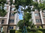 小区环境实景图
