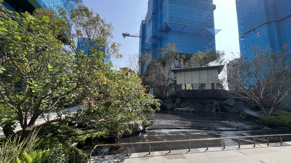 实景图