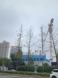 实景图在建工地